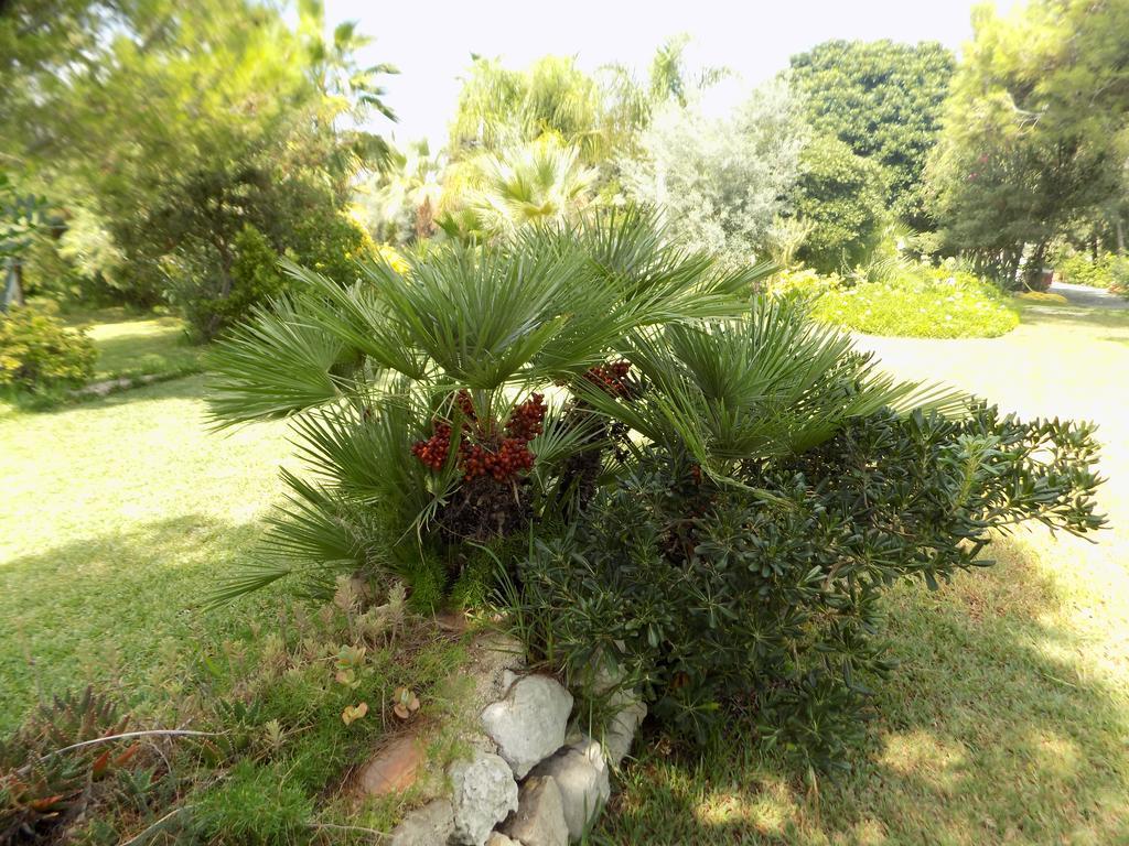 Asparano Ognina Exterior foto