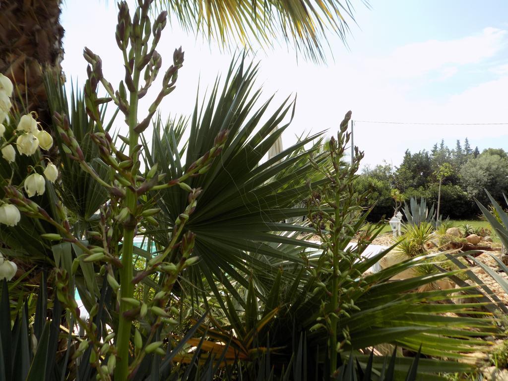 Asparano Ognina Exterior foto